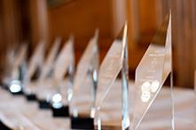 Row of trophies on a table